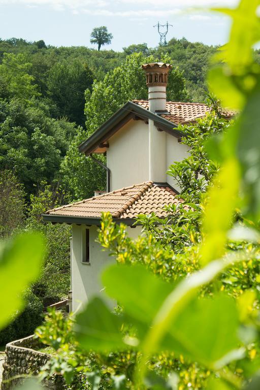 Turisticna Kmetija Stanfel Villa Podsabotin Exterior foto